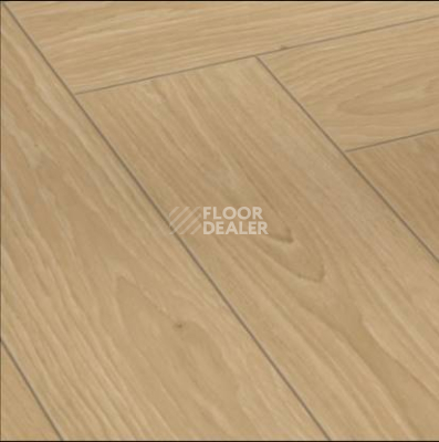 Ламинат Parador Trendtime 3 1730219 Дуб Studioline фото 1 | FLOORDEALER